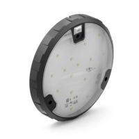 6" Compartment Light